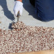 Steinteppich SET Marmorkies 25kg + PU-Bindemittel für 2,5m² Carnico 1-4mm